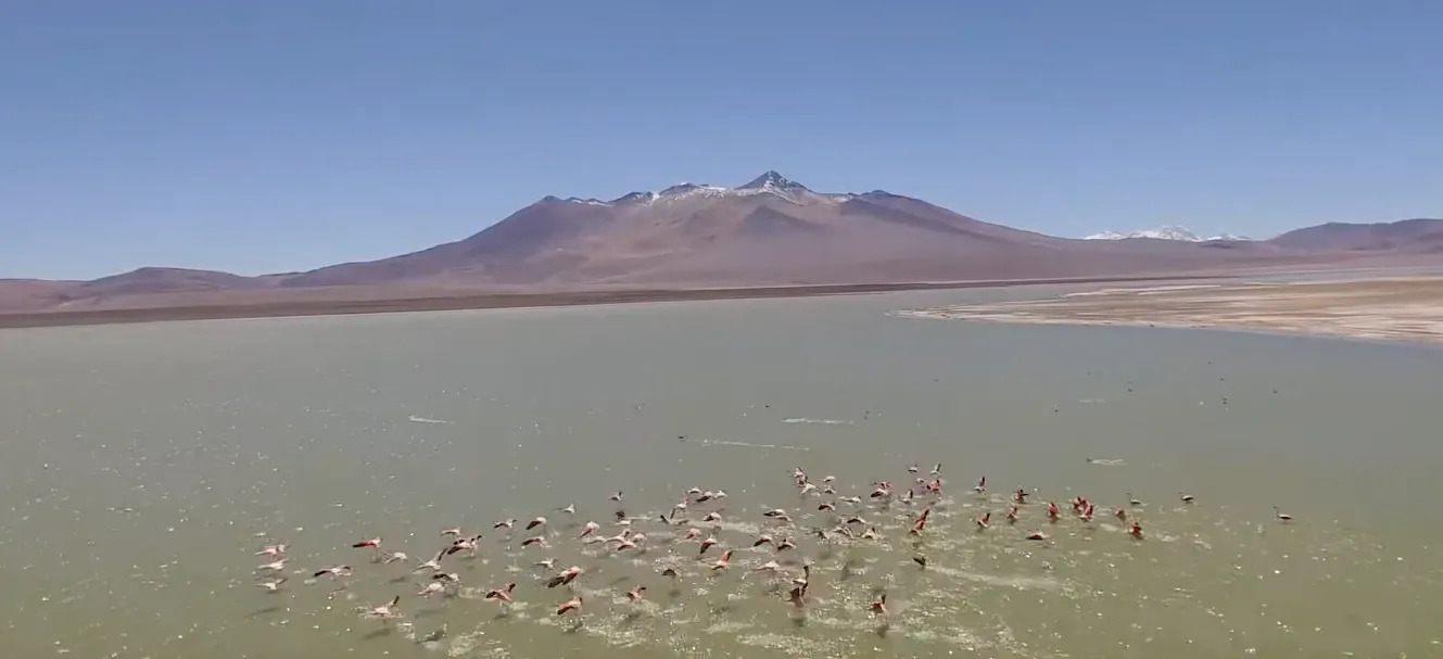 Paisaje de la Región de Región de Atacama, Chile, asociada a farmacias de turno